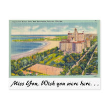 エドウォータービーチ，シカゴ，病気。