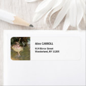 エドガー・デガス – ザ・スター1878 ラベル (インサイチュ)