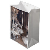 エドガー・デガス – バレエリハーサルステージ ミディアムペーパーバッグ (正面アングル)