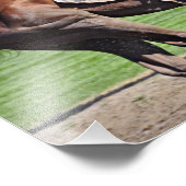 エドガー・プラド – ダービーがジョッキーを獲得 フォトプリント            (角)