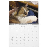 エドガー、帯およびAdara 2015年の猫のカレンダー カレンダー (3月 2027)