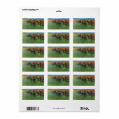 エドガーDegas – 開始する前に競馬 ラベル (フルシート)
