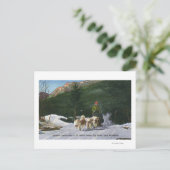 エドクラークのエスキモー犬ランチ、ドッグスレディング ポストカード (スタンド正面)