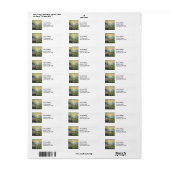 エドバードムンク – The Sun 1916 ラベル (フルシート)