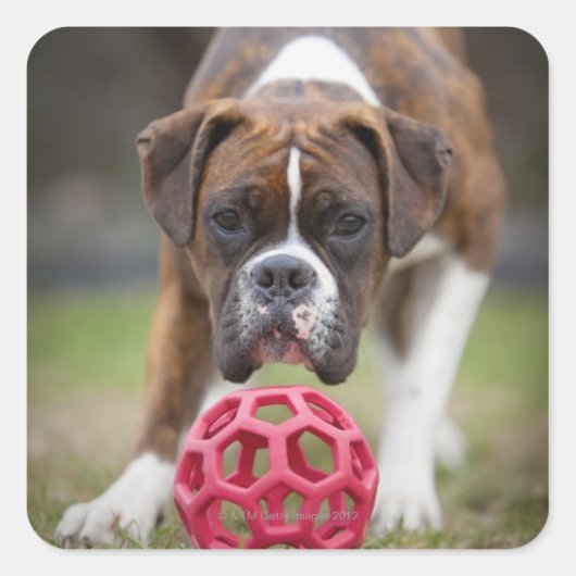 エドモントンアルバータカナダ スクエアシール (正面)