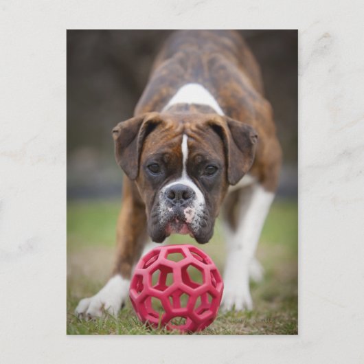 エドモントンアルバータカナダ ポストカード (正面)