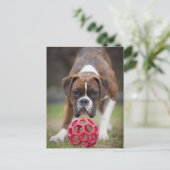 エドモントンアルバータカナダ ポストカード (スタンド正面)