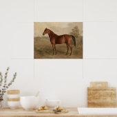 エドワードトローエアメリカンホースケンタッキーWoodpecker ポスター (キッチン)