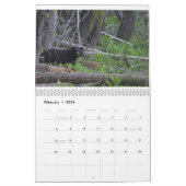 エドワードヒューズ著くま カレンダー (2月 2026)