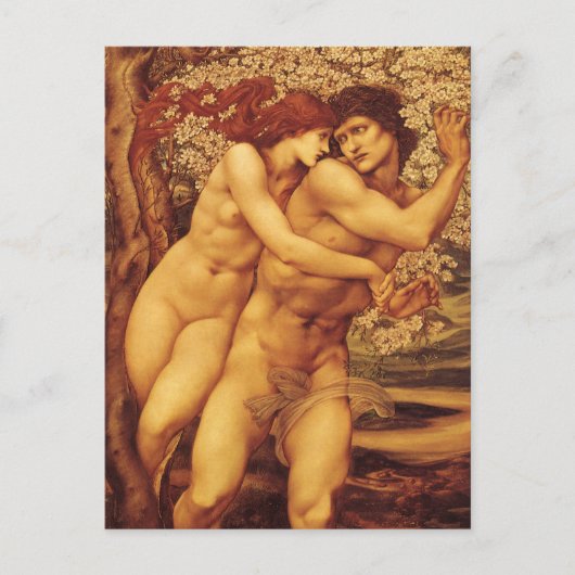 エドワード・コーリー・バーン=ジョーンズ卿の許しの木 ポストカード (正面)