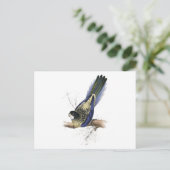 エドワード・リアのブラウンズパラケート ポストカード (スタンド正面)