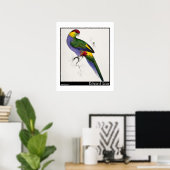 エドワード・リアの赤い帽子をかぶったインコの雄 ポスター (ホームオフィス)