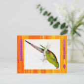 エドワード・リア。花の羽のあるインコ。 ポストカード (スタンド正面)