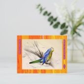 エドワード・リア。頭淡い色ののParakeet ポストカード (スタンド正面)