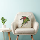 エドワード・リア#9-Matonのインコ クッション (椅子)