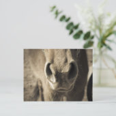 エド信じられないい食用の氏 ポストカード (スタンド正面)