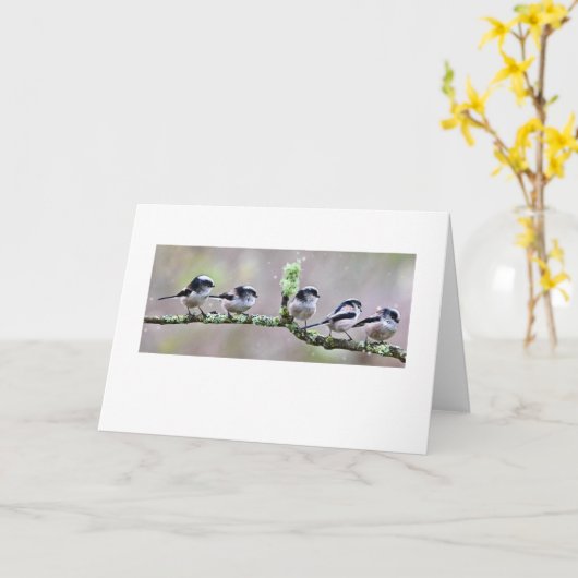 エナガ カード (黄色い花)