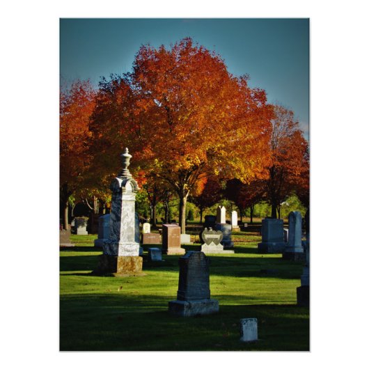 「エナジー・グロー」 フォトプリント            (正面)