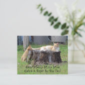 エニーミーニーマイニーモー… ポストカード (スタンド正面)