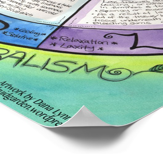 エネルギーと組織の州 – ハーブポスター ポスター (角)