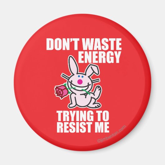 エネルギーを無駄にしない マグネット (正面)