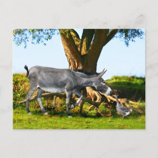 『エノとアンリの若者』はがき ポストカード