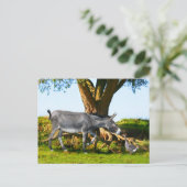 『エノとアンリの若者』はがき ポストカード (スタンド正面)