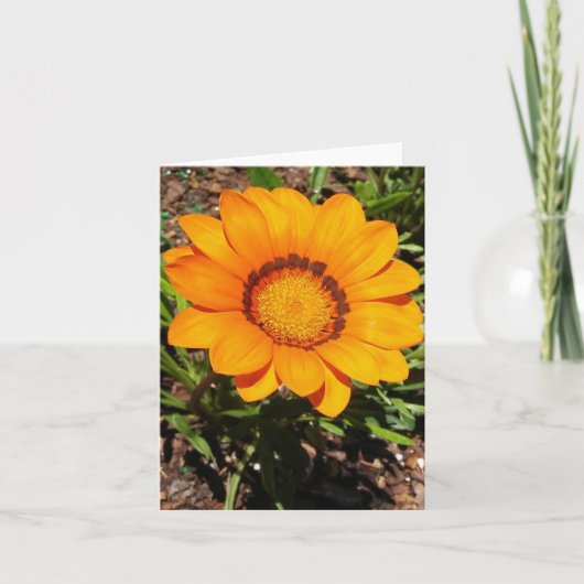 エノルマオレンジガザニアリジェンズフォールドノートカード ノートカード (正面)