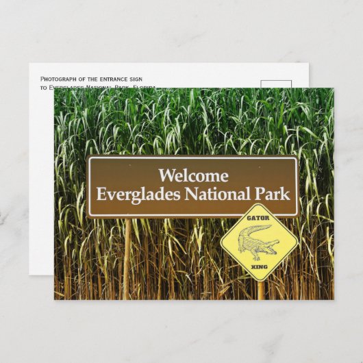 エバグレイズ国立公園の看板、ガトー交差点 ポストカード (正面/裏面)