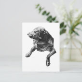 エバーグリーンコーナーからこんにちは ポストカード (スタンド正面)