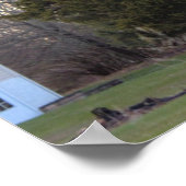 エバーグリーンツリーフォトポスター ポスター (角)