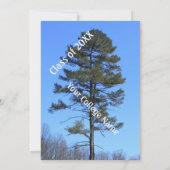 エバーグリーンツリー写真ブルー卒業 招待状 (裏面)