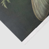 エバーグリーンミューズ 薄葉紙 (詳細)