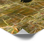 エバーグレーズのアンヒンガ ポスター (角)