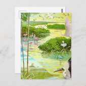 エバーグレーズの鳥のポストカード ポストカード (正面/裏面)