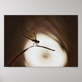 エバーグレーズドラゴンフライ ポスター