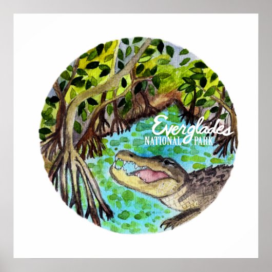 エバーグレーズナショナルパークフロリダウォーター色 ポスター (正面)