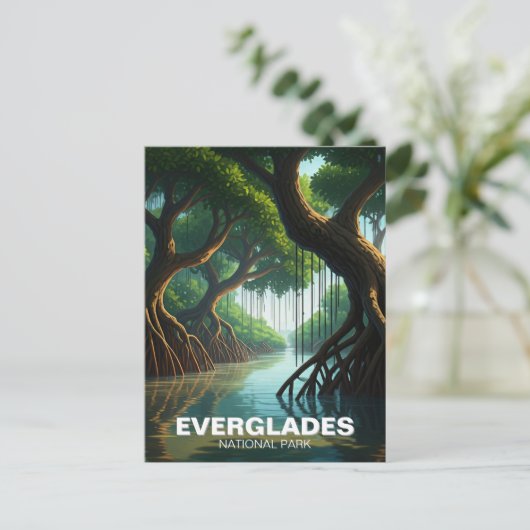 エバーグレーズナショナルパークフロリダマングローブ ポストカード (スタンド正面)