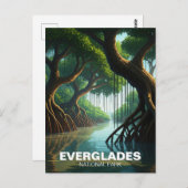 エバーグレーズナショナルパークフロリダマングローブ ポストカード (正面/裏面)
