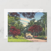 エバーグレーズナショナルパークフロリダヴィンテージ ポストカード (正面/裏面)