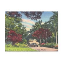 エバーグレーズナショナルパークフロリダヴィンテージ