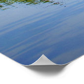 エバーグレーズマングローブ ポスター (角)