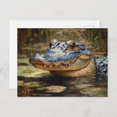 エバーグレーズワイルドライフアートのアリゲーター ポストカード (正面/裏面)