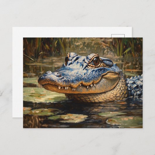エバーグレーズワイルドライフアートのアリゲーター ポストカード (正面/裏面)