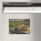 エバーグレーズ国立公園のアリゲーター マグネット (インサイチュ (食洗機))