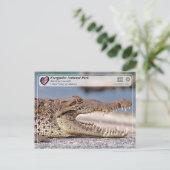 エバーグレーズ国立公園 – アメリカワニ ポストカード (スタンド正面)