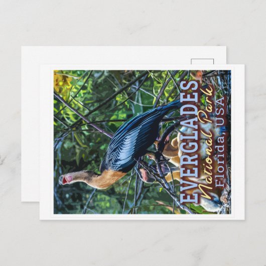 エバーグレーズ国立公園 – フロリダ統一された州 ポストカード (正面/裏面)