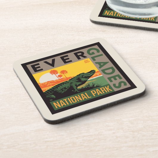 エバーグレーズ国立公園 |フロリダ コースター (左側)