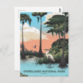 エバーグレーズ国立公園 ポストカード (正面/裏面)