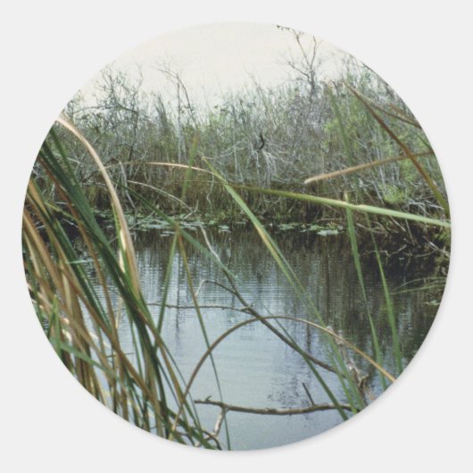 エバーグレーズ国立公園 ラウンドシール (正面)